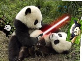darth panda 1