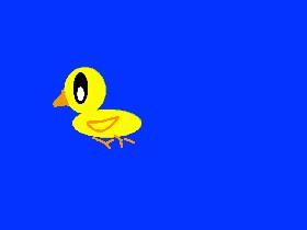 baby duck song do not copy