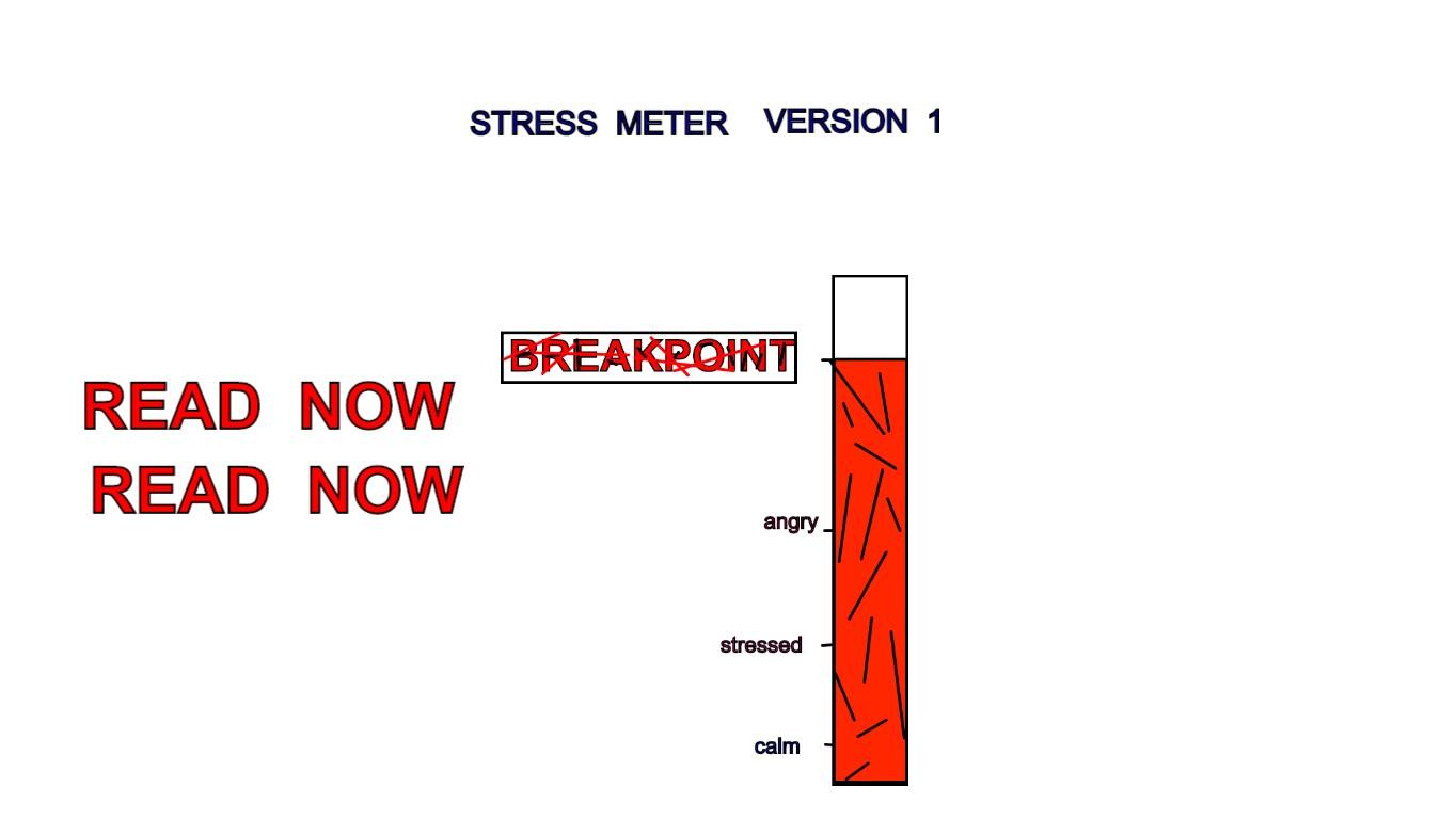 stress meter 1(made for me)