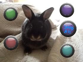 Olive the rabbit: music!©™ 1