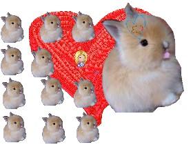 remix bunny love 1