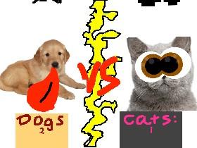 Dogs vs Cats!!🐈🐕 2