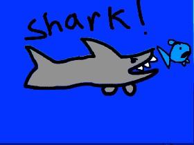 Shark! 1 2 1