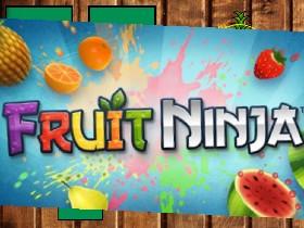 Fruit Ninja  1 1