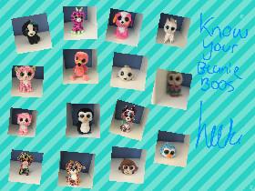 Know your beanie boos!