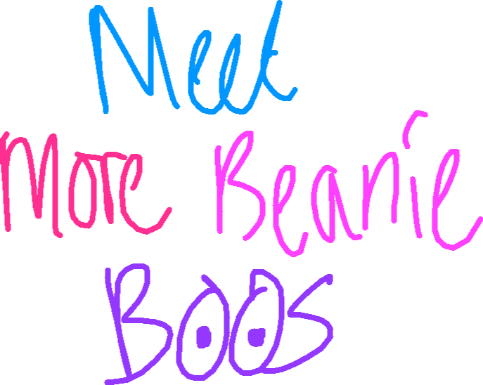 Meet more beanie boos