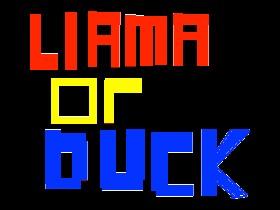 Llama or Duck??? can you win? Llama or🦆 1