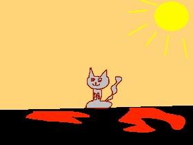 lava cat 101