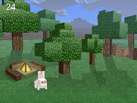 Minecraft:Rabbit Roundup