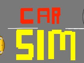 Car Sim by ur awsomness!