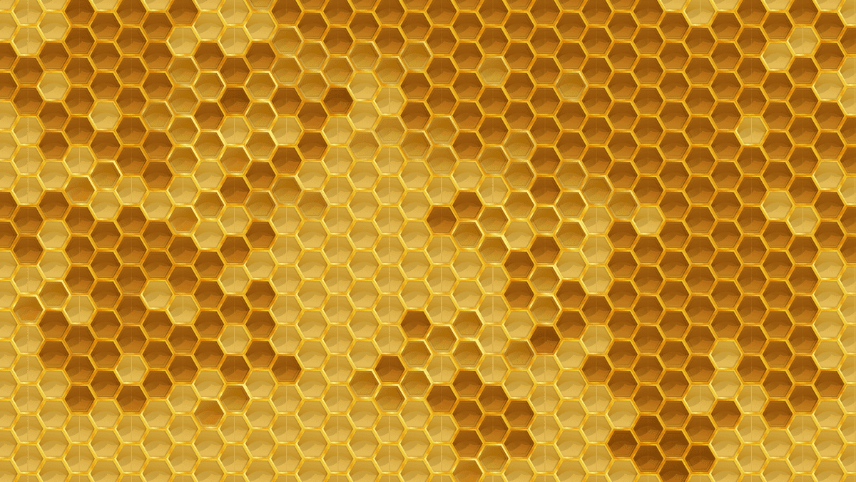 colecting honey