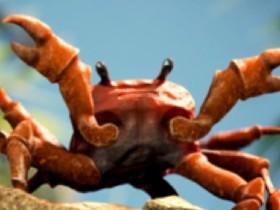 crab rave 