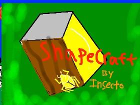 ShapeCraft v.1 1