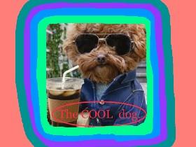 The COOL Dog