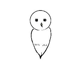Barn owl drawing tutorial 1