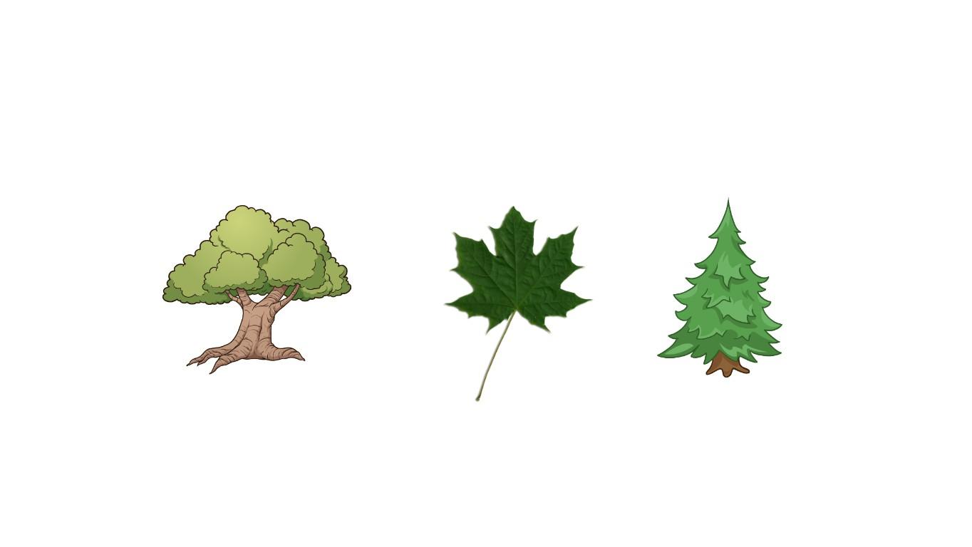 Types of Trees - TEMPLATE