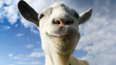 goat virus - copy