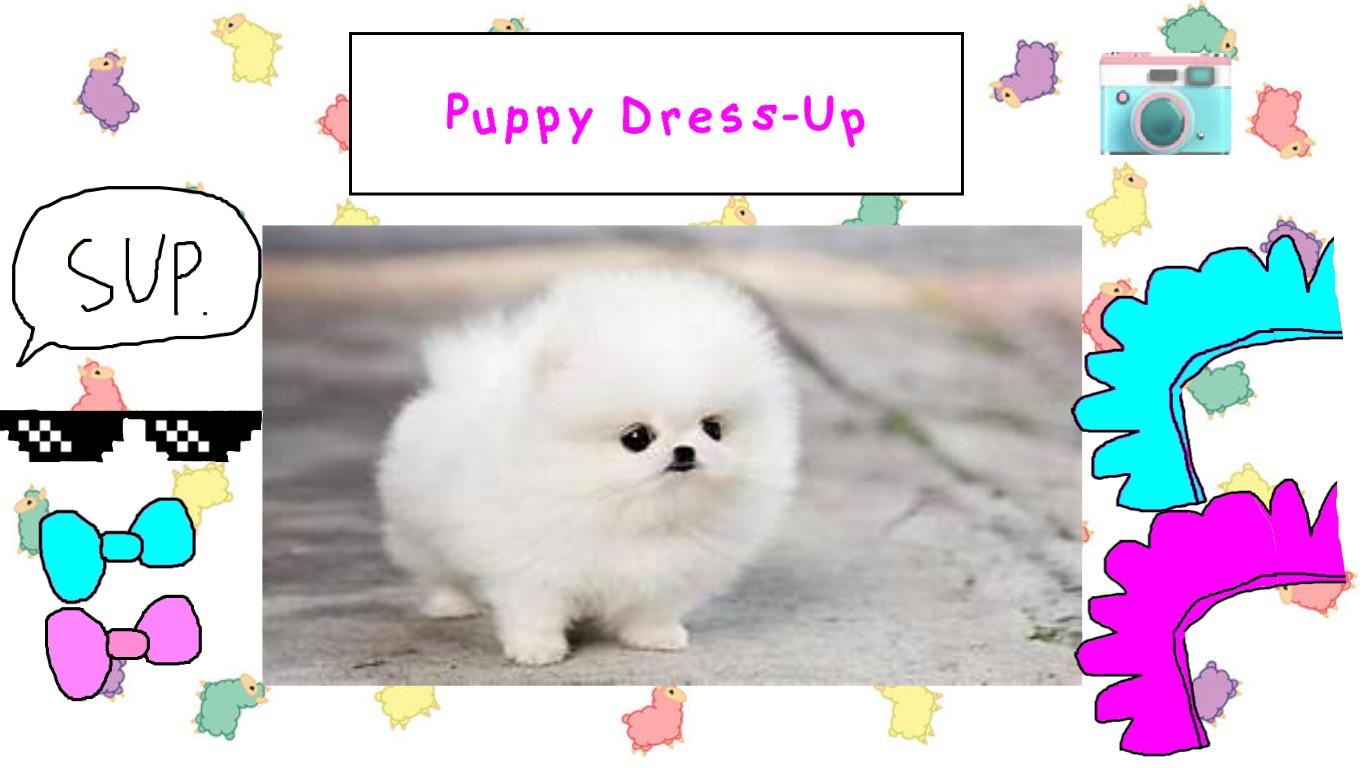 Puppy Dress-Up