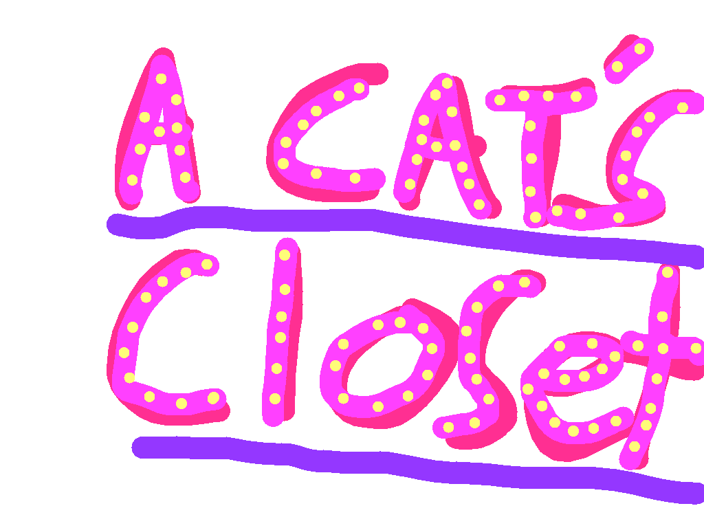 A Cat’s Closet