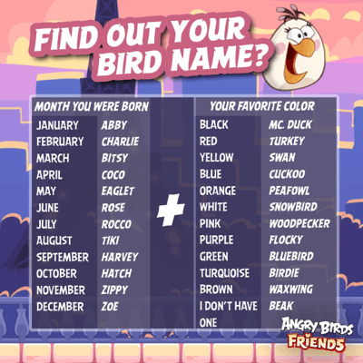 What&#039;s your Bird name?