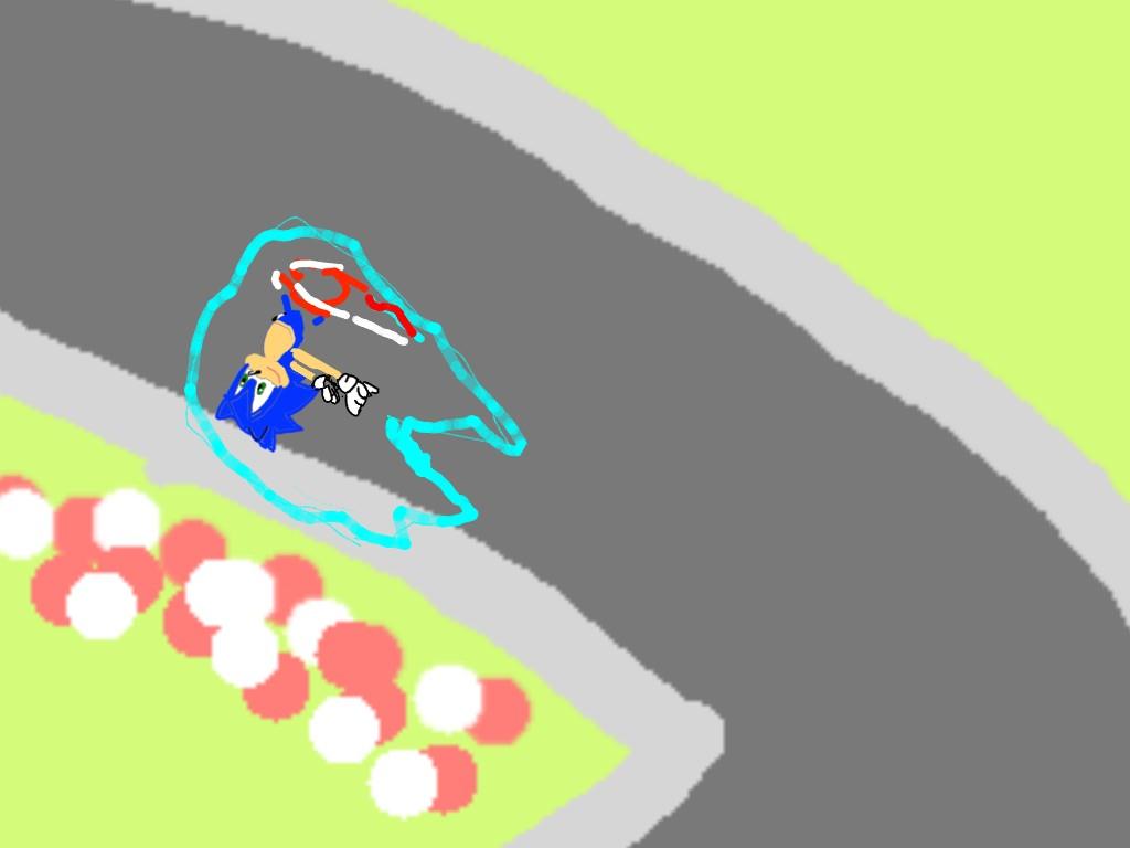 Race Track Maniac with sonic