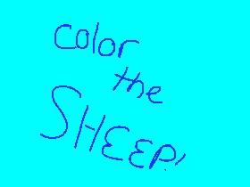 color the sheep