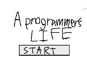 A programmer’s life