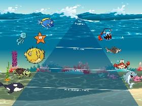 Ocean Ecological Pyramid 1