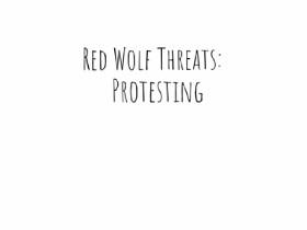 Red Wolf Threats: Protesting