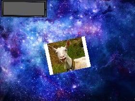 galexy goat