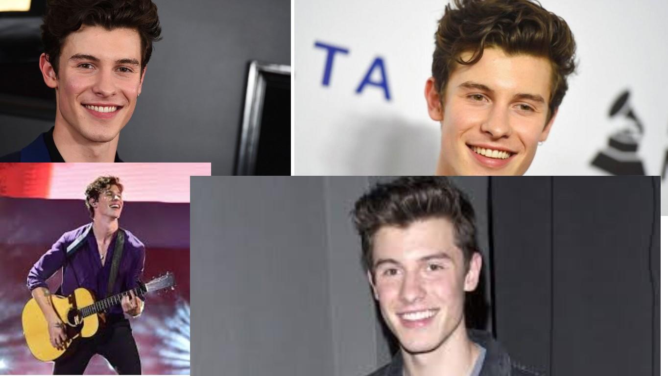 shawn mendes  collge