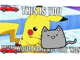 why is there a cat in a Pikachu with two red cars