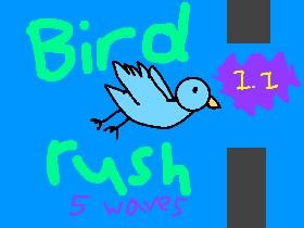 bird rush (5 waves)