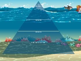 Ecological Pyramid 3