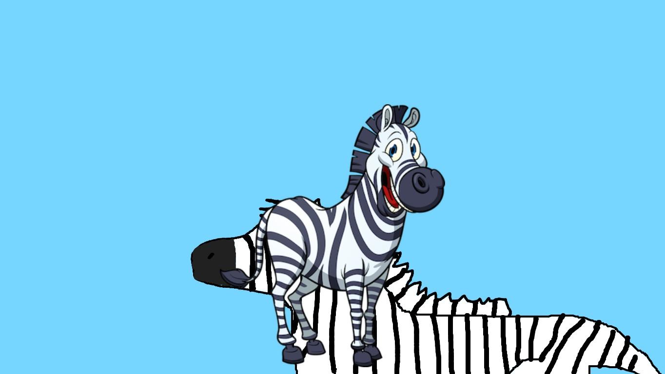 Zebra slideshow