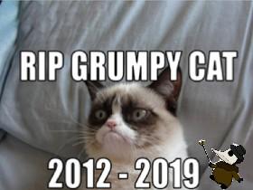 Rip Grumpy Cat age seven
