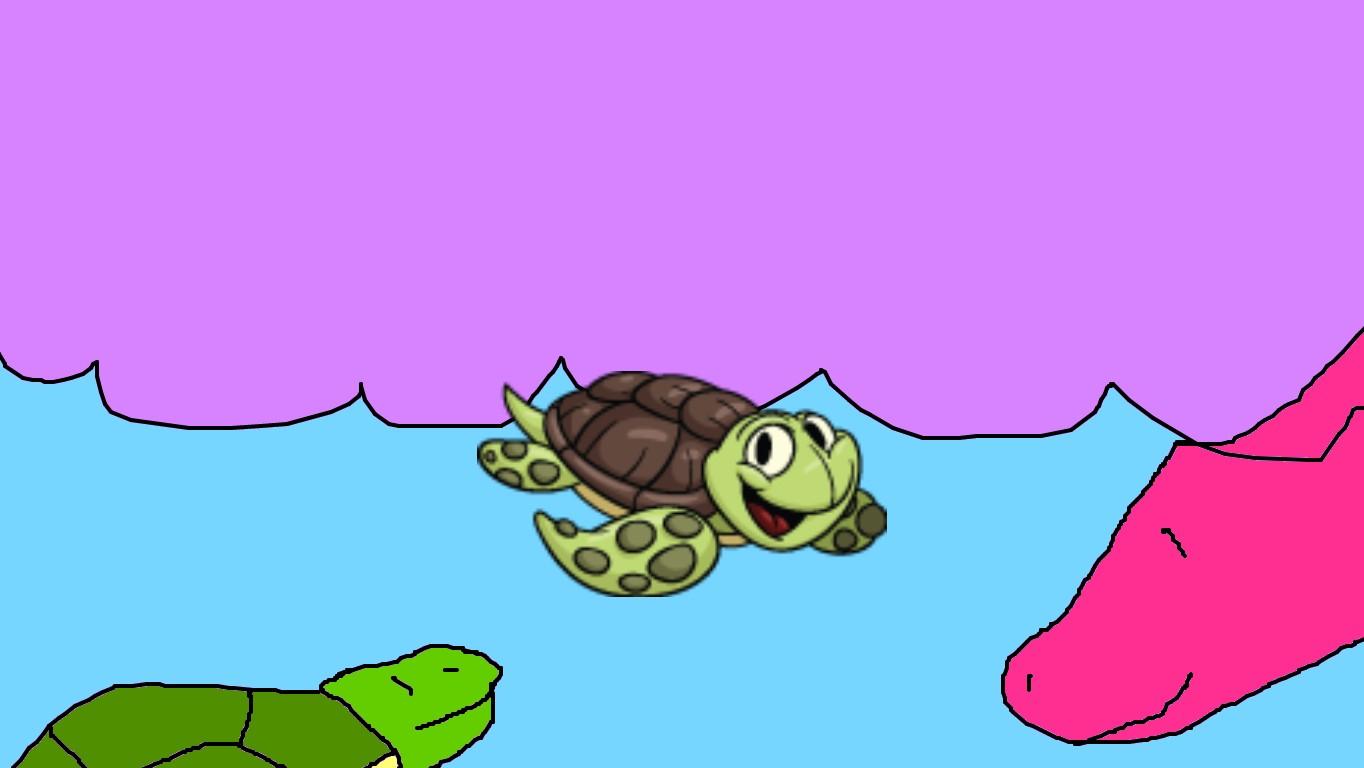 Turtle slideshow