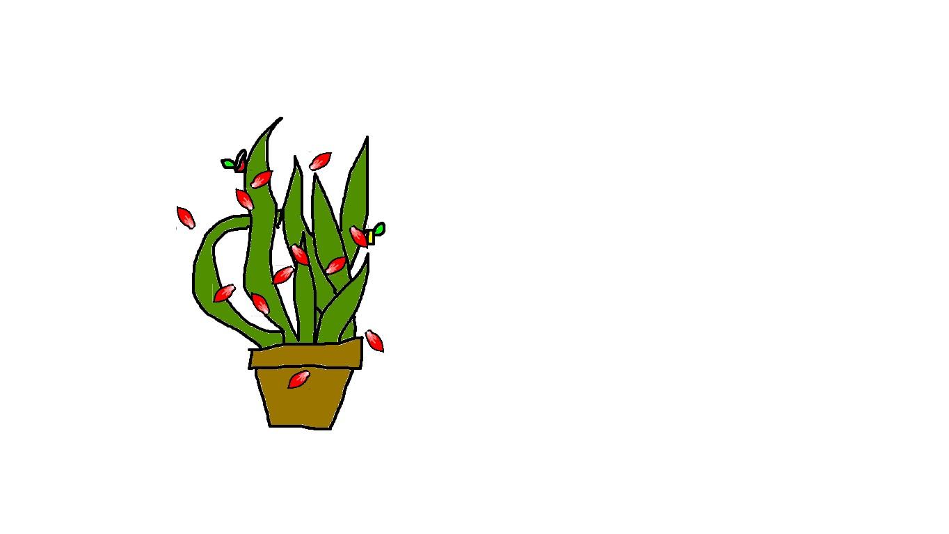Week 4: Create an Evespin Cactus