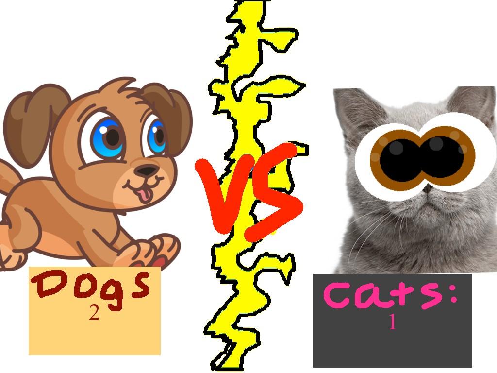 Dogs vs Cats!!🐈🐕