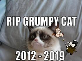 Rip Grumpy Cat age seven  1