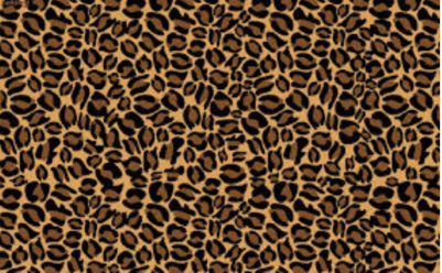 cheetah thingy