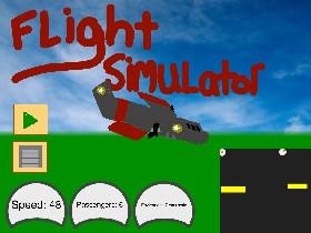 plane simulator 1