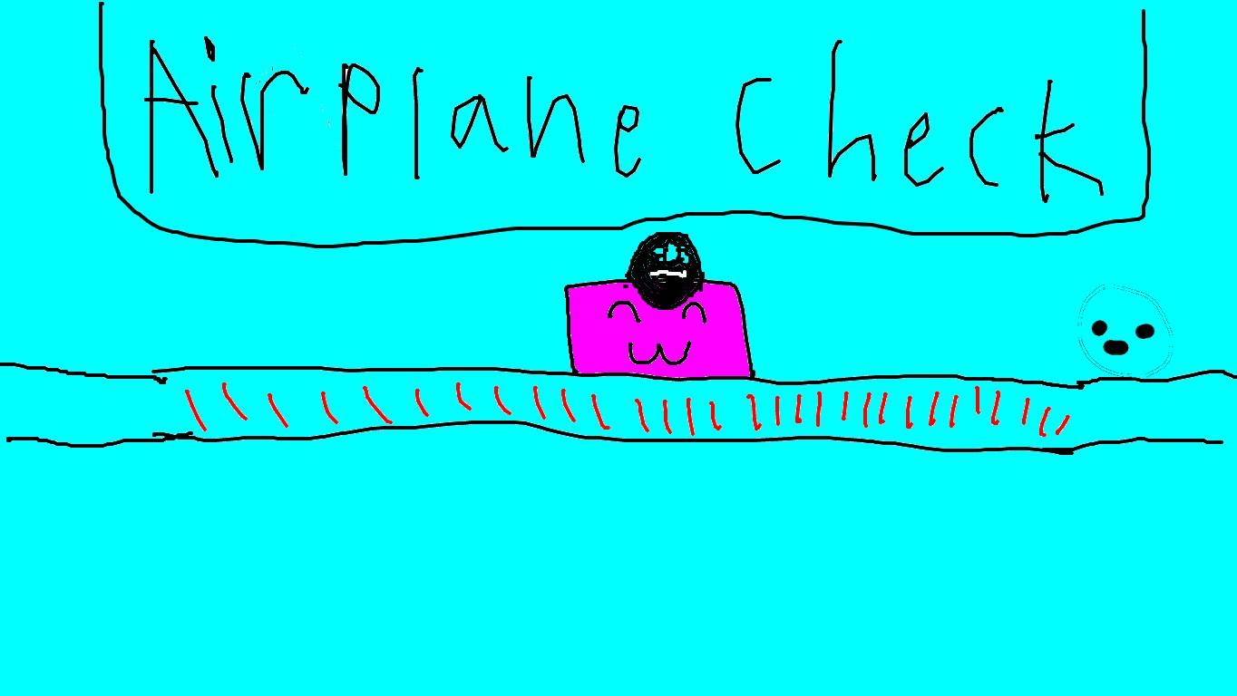 Airplane check