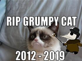 Rip Grumpy Cat age seven 1