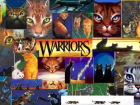 Warrior cat quiz