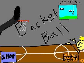 Basket Sim (T- REX) 1