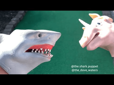 shark puppet