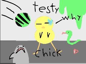 testy chick 1