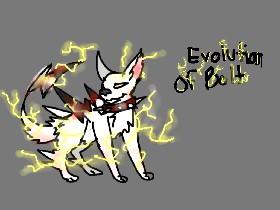 Bolt's Evolution 