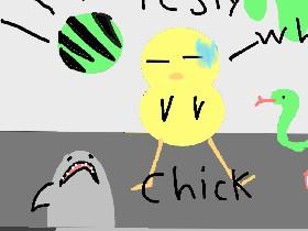 testy chick 1